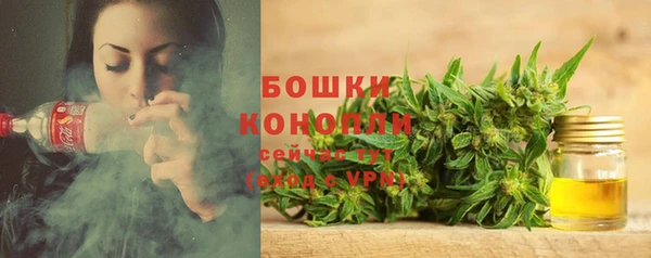 меф Богородицк