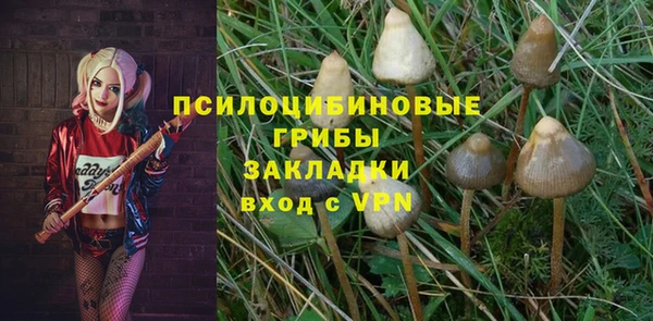 меф Богородицк