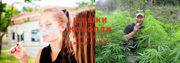 меф Богородицк
