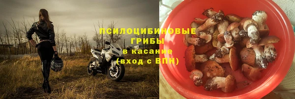 меф Богородицк